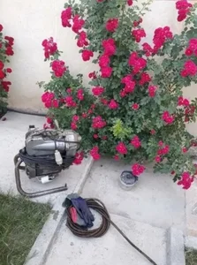 لوله‌بازکنی در سردار جنگل