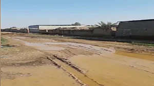 اتاق فرار ملکه خون