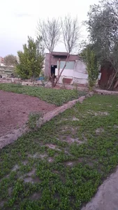 باغ سبزی مش احمد 3