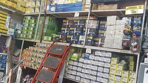 الکتریکی سمندر
