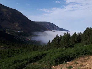 پارک صیقل محله