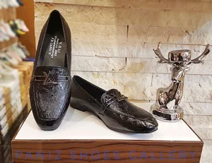 Paniz Shoes _کفش پانیذ