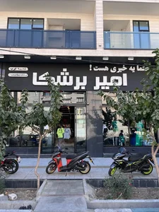 امیر برشکا 3