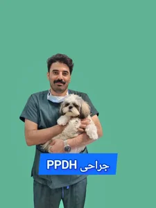 DENA کلینیک و مرکز جراحی دامپزشکی دنا 3