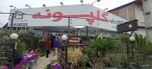 مجتمع كشاورزي گلپونه
