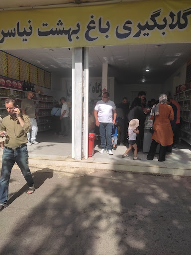 عطاری گیاهنوش