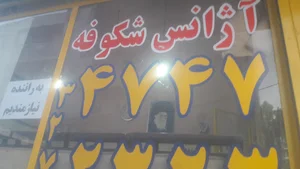 آژانس شکوفه
