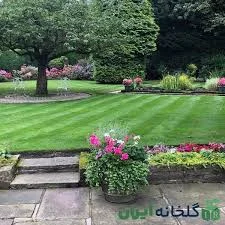 فضای سبز