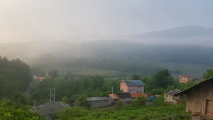کالیکلا افراسی