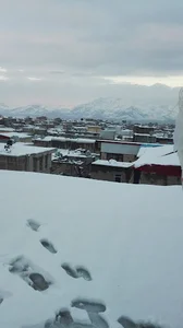 سوپرمارکت پرویزی