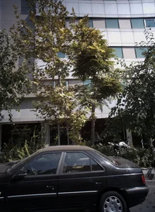صرافی دریاییان 2