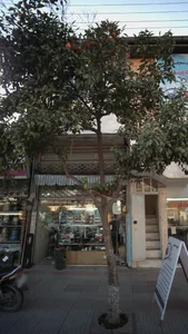 الکتریکی مهتاب 3