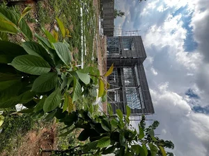 ویلای یاس سفید