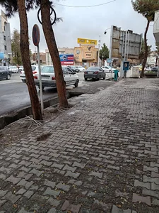 کباب سرای داش اقا