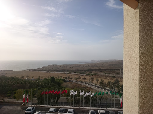 شرکت گردشگری سیب سبز