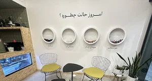 Rabo cafe | کافه رابو