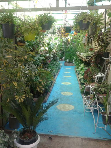 پوشاک لطیف و گلسرای لطیف