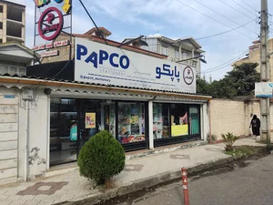 نمایندگی پاپکو