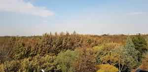 خانه معمار