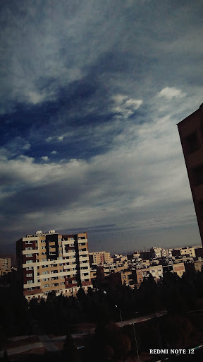 ترنج