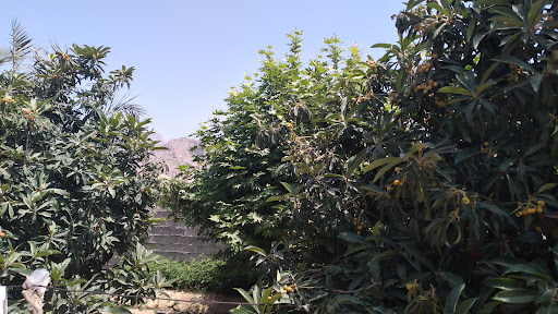 خانه مسافر امیر رضا