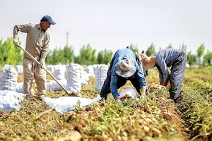 مرکز واکسیناسیون سالن ورزشی شهید فرهنگیان