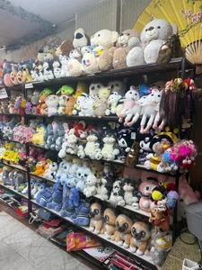 گل فروشی آلستر حمزه قاسمی 5
