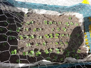 خدمات فنی مهندسی 2