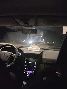 دکتر لیلی اوستا