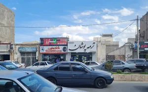 ترمه پوشان