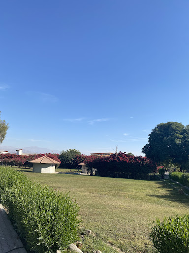 دانشگاه جیرفت