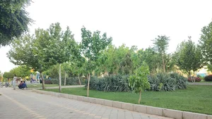 بوستان فدک