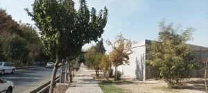 بوستان خلفی