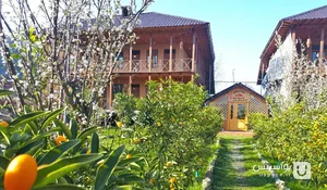 دبستان دخترانه انصار