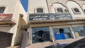 مغاسل الدلفين الأبيض
