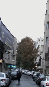 فرش قیطران 3