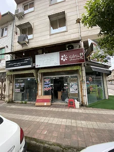 (نمایندگی گلدیران (اخوان