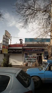 دکتر فریبا لسانی