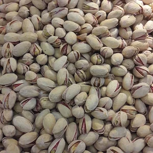 خشکبار تواضع 2