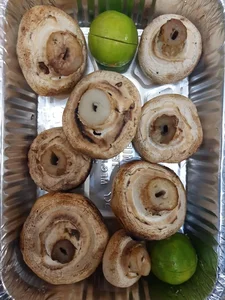 جگرکی کلبه شقایق 4