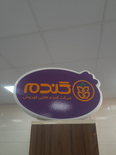 فروشگاه زنجیره ای گندم