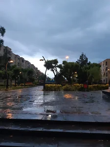 پارک سلامت