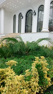 خانه عقد نبات