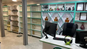 حکیمان سبز 2