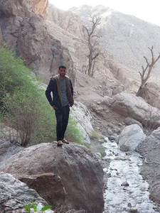 میموند
