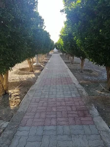 Bahla Garden Park