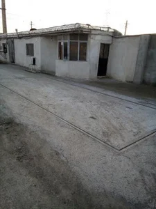 باسکول صیادی