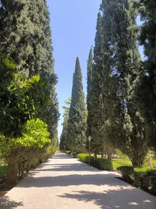باغ گیاه شناسی ارم
