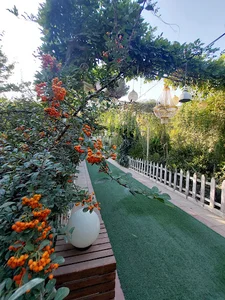 باغ ایرانی