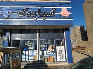 آسیا یدک محمدی